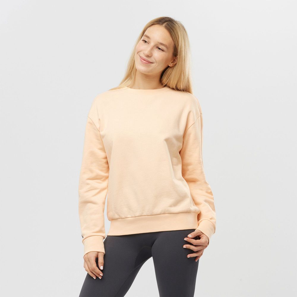 Salomon Sweatshirts Dame Beige - OUTLIFE SUMMER (WAKZH-9467)